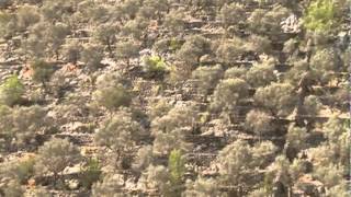 La Serra de Tramuntana, patrimoni Mundial