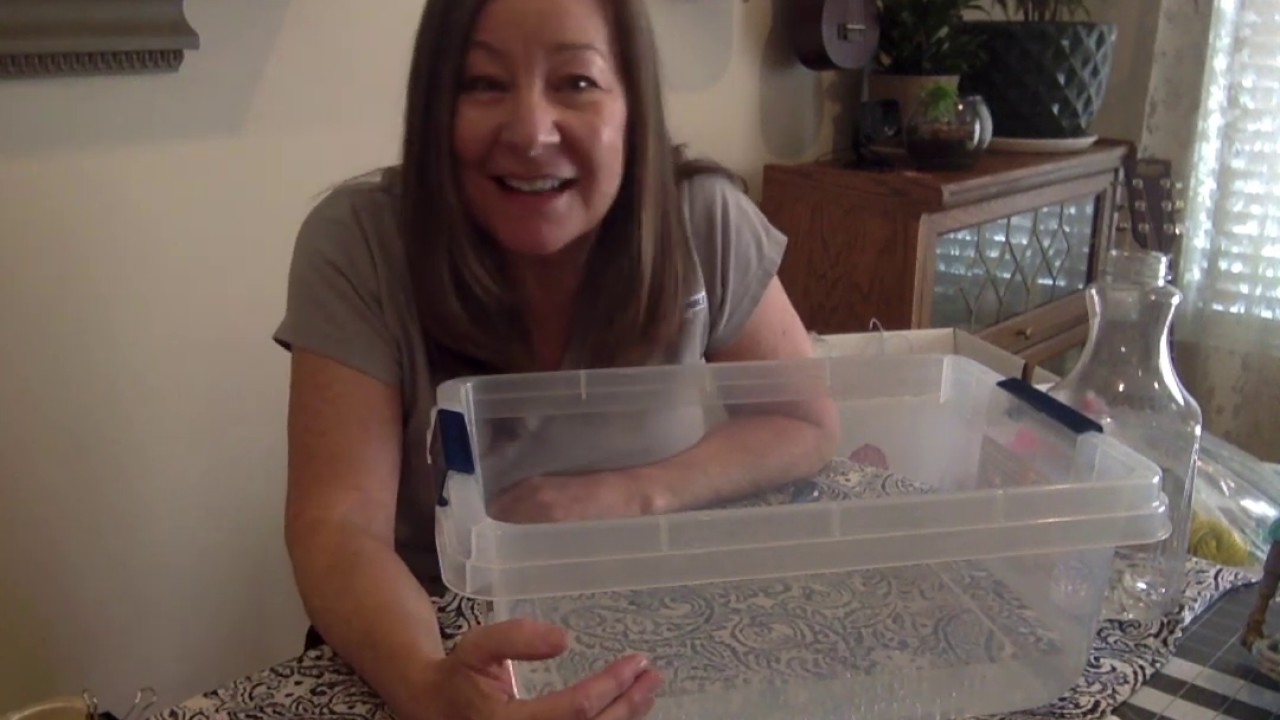 STEAM Things that Float