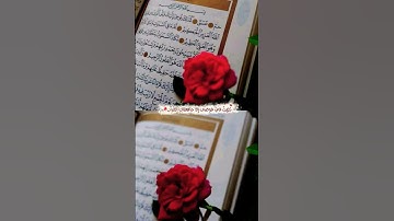 اللهم اجعل القرآن الكريم ربيع قلوبنا ونور صدورنا امين يارب العالمين #اكسبلور #لايك المتابعه