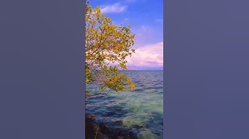 Koja doi island Maumere flores