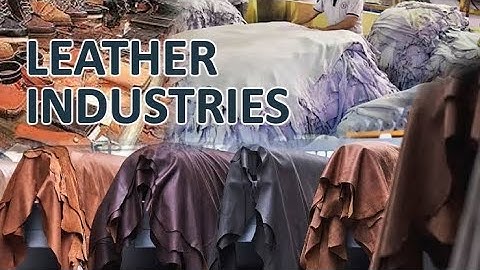 The Leather Industry: From Raw Hide to Finished Product