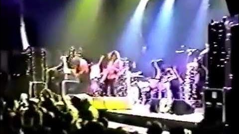 Moth in the Incubator - 1994