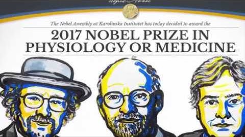 NOBEL PRIZE IN MEDICINE GOES TO 3 AMERICANS FOR BODY CLOCK STUDIES
