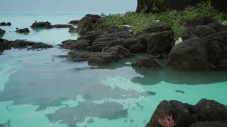 Rocky Beach 3D Render | Unreal Engine 5