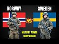 Norway vs Sweden Military Power Comparison 2026 | NATO’s Nordic Giants