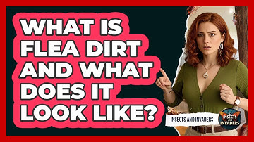What Is Flea Dirt And What Does It Look Like? - Insects and Invaders