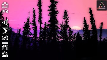 forest animation | prisma 3d animation #animation