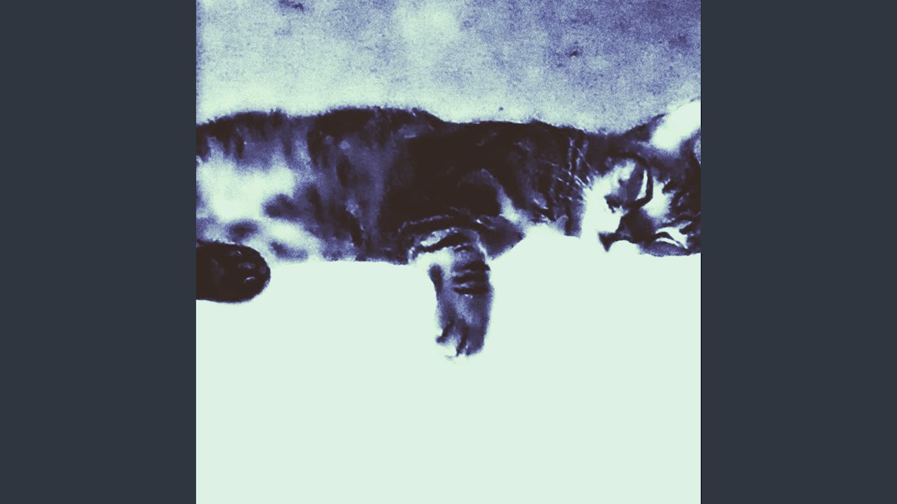 White Dynamite Mega Bite