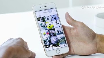 Use Google Lens to translate, in real time, identify objects, location, scan and copy text, homework