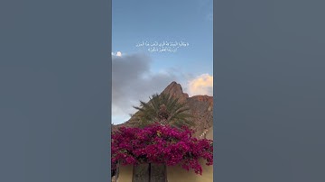 سورة فاطر 💙💙#اكسبلور #قرآن # القارئ عمر بن ضياء الدين🤍🤍💙