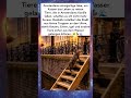Amsterdam setzt ein schönes Zeichen für Tiere. #inspiration