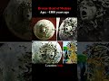 Ancient Artifacts: From Rock Giraffes to Medusa