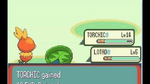 Pokemon Emerald Walkthrough Part 11