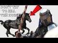 3 Reasons WHY you wouldn't Kill the horse of a knight in battle