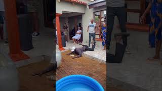 Man Slips Dropping Drink at Gathering