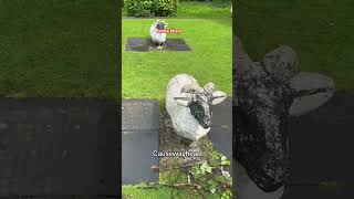 Causewayhead Stirling park short vlog with beena khan in Pashto