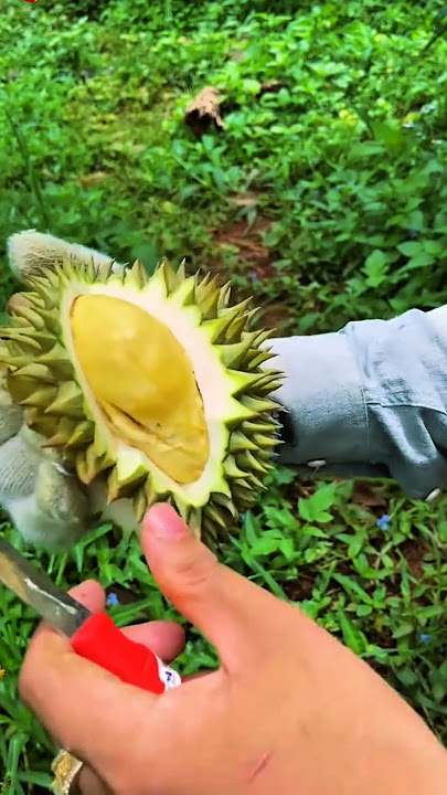 Only One Section, But This Durian Taste Is Unmatched! #shorts #unique