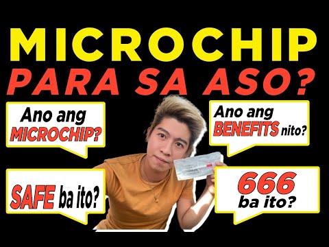 Video: 3 Mga Dahilan Upang Microchip Ang Iyong Aso Ngayon