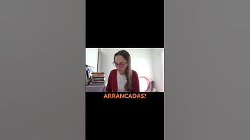 Recupere o prazer de dizer sim #substack #shorts