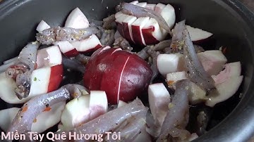 Câu Cá Bóng Dừa Hấp Trái Điều | Miền Tây Quê Hương Tôi - Tập 82