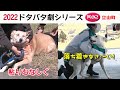 2022狂犬病予防注射会場ドタバタ劇 其の２・立山町