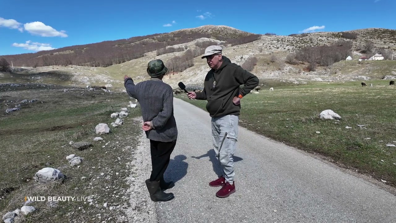 TRSA - DURMITOR - ZABLJAK - DIVLJA LJEPOTA - WILD BEAUTY