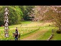 Spring Flowers. Musashi Kyuryo National Government Park 2019. #4K #武蔵丘陵森林公園