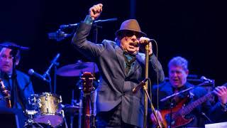 Watch Van Morrison Out In The Cold Again video