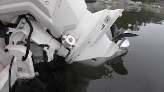 2020 Evinrude E-Tec G2 140hp | WOT & fuel consumption