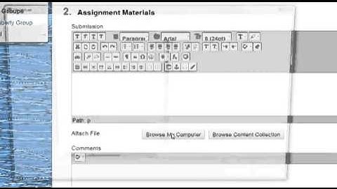 Blackboard 9.1.13: Submit an Assignment