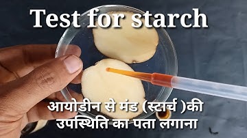 class 6|| science || test for starch || iodine test for presence of starch||