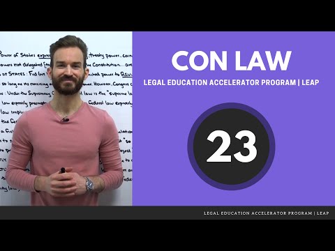 Видео: Constitutional Law: Equal Protection (Pt. 3.1) — 