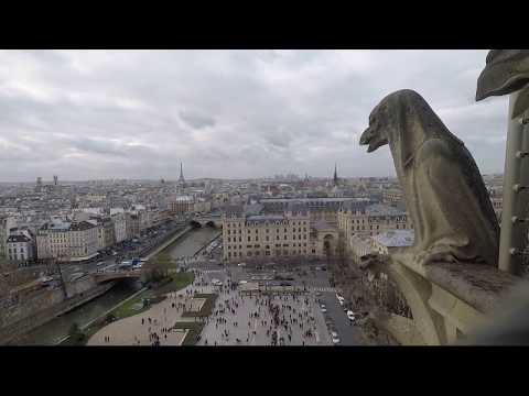 Video: Hvordan Finne Et Herberge I Paris