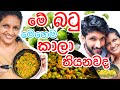 අම්මිගේ සුපිරි තිබ්බටු මැල්ලුම|How to make thibbatu curry - Sangeeth Vlogs|Sangeeth Satharasinghe