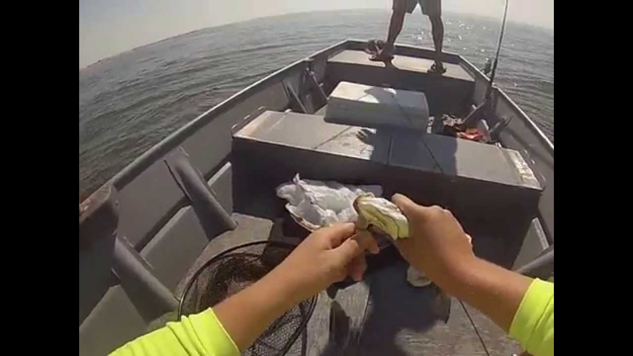 Trout fishing in Empire, Louisiana (Bastian Bay) YouTube