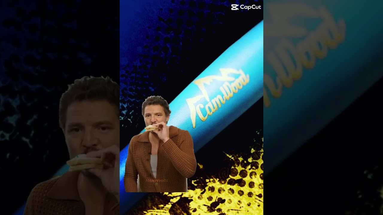 Best Wood Bat on the Market! 