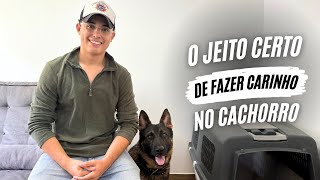 NÃO FAÇA CARINHO NO SEU CACHORRO ANTES DE VER ESTE VÍDEO! | JHON’S DOG  ADESTRAMENTO DE CÃES