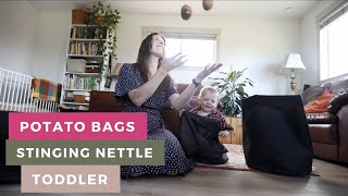 Homemaking with a Toddler + Stinging Nettle Pasta for a Quick Dinner Recipe & EASY Potato Grow Bags by Mountain Valley Refuge 153 views 3 weeks ago 10 minutes, 19 seconds