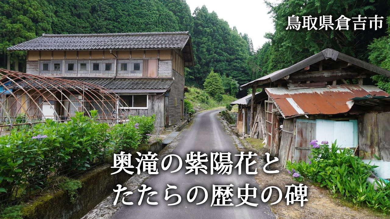 鳥取県倉吉市　奥滝の紫陽花とたたらの歴史の碑