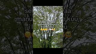 Download Lagu sehat sehat ya manusia favorite kuu 👌 MP3