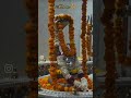 achcha wakt #song #love #chanakyags #parmanandji #shyam #vedic #viral #viralreels #newreel #shorts