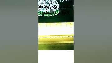 صلاة التراويح بجامع الجزائر يوم 3 رمضان 24 🔥🔥   تلاوة عطرة بصوت القاري الجزائري عبد العزيز سحيم