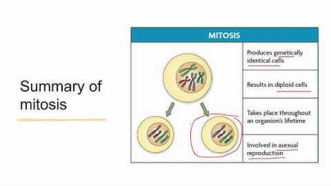 Genetic Variation - Lesson 7 - Cell Division