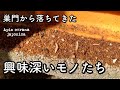 【日本ミツバチ】巣クズと一緒に落ちていた