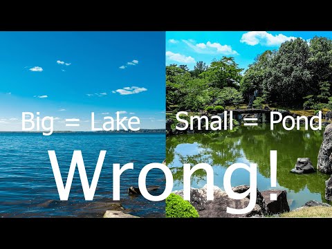 What is the difference between a lake and a pond? | Lake vs pond