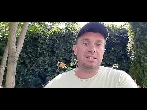 Корея запрещает свои авто для РФ / И как обойти утильсбор?!