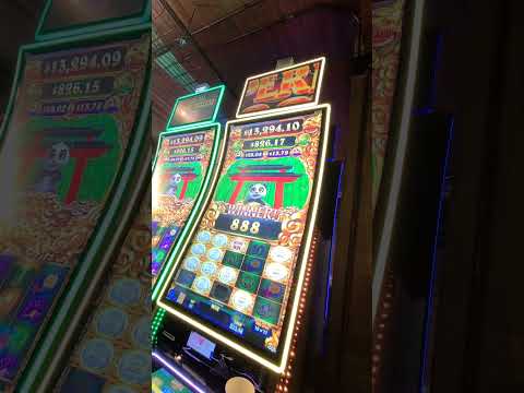 COLO LOPEZ ANIVERSARIO CASINO DEL RIO GRAL ROCA LADY LADY JOE ESPOSITO