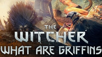 What Are Griffins? - Witcher Lore - Witcher Mythology - Witcher 3 lore - Witcher Monster Lore