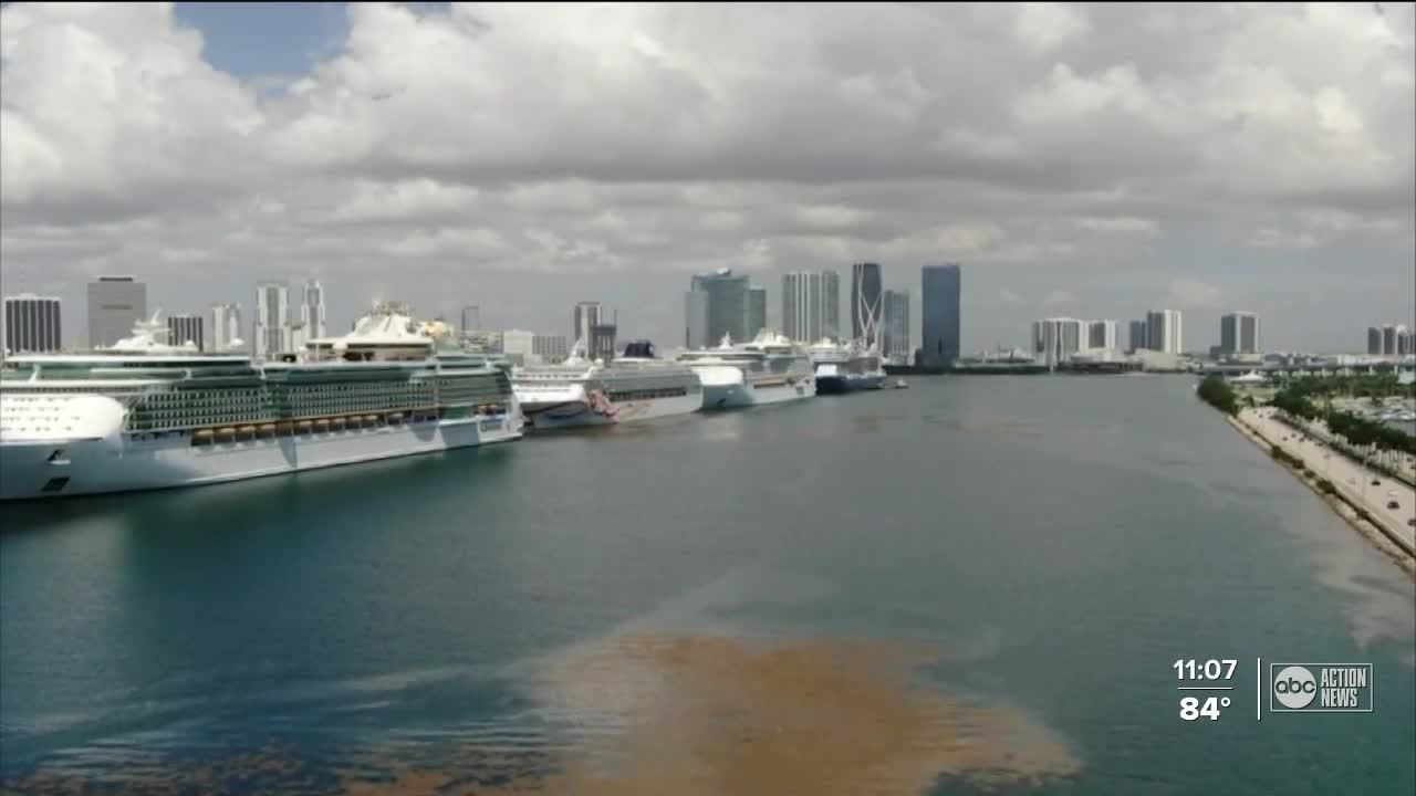 Florida takes down CDC in federal court