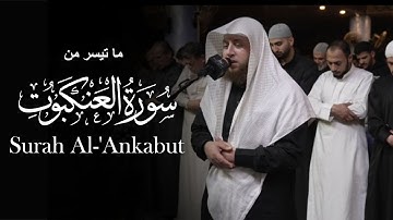 تلاوة مرئية لـ ما تيسر من سورة العنكبوت | الشيخ حمزة الفار